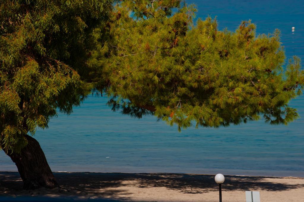 Akti House Psarogiannis & Appartement Vourvourou